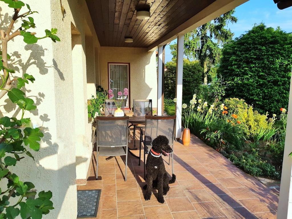 Ferienwohnung Petronela Waren  Esterno foto